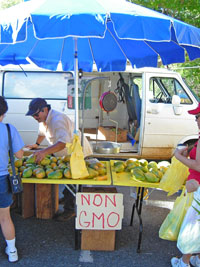 vendor selling non-GMO papayas